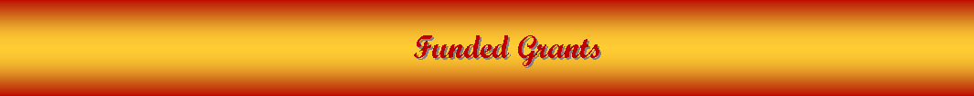 Text Box:                                                                   Funded Grants 