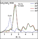 In Situ Studies of the Active Sites for the Water Gas Shift Reaction over Cu-CeO2 Catalysts: Complex Interaction between Metallic Copper and Oxygen Vacancies of Ceria