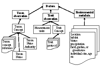 Data Schema