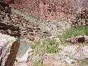 Havasu Canyon 2