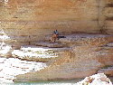 Havasu Shady Rest