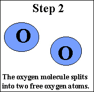 The Chapman Reaction