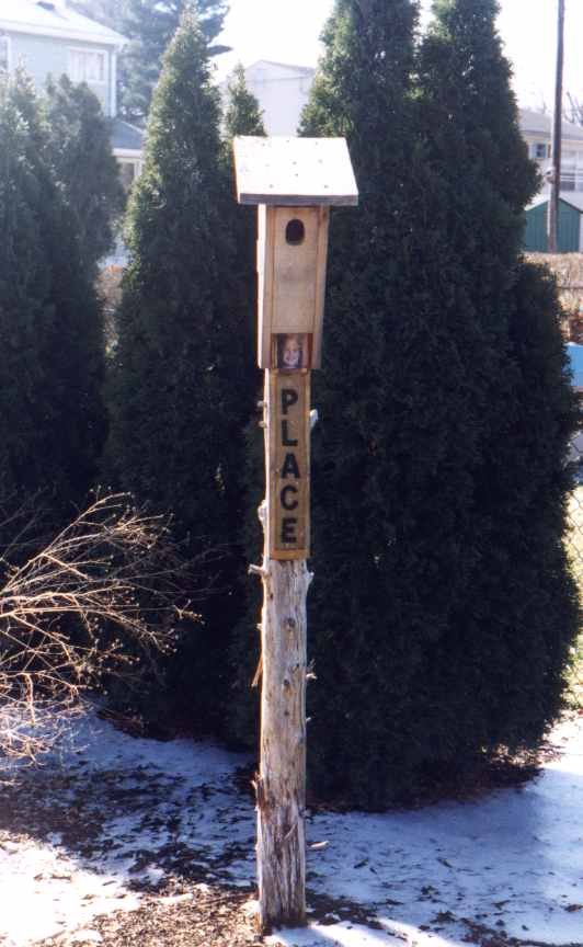 place.JPG (45837 bytes)