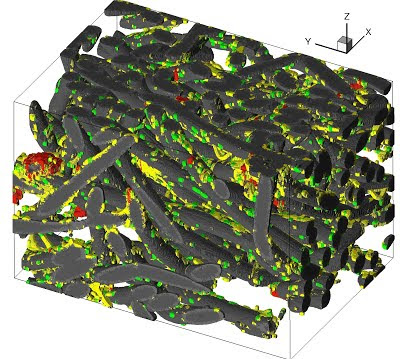 Bone tissue engineering image