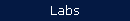 Labs