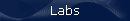 Labs