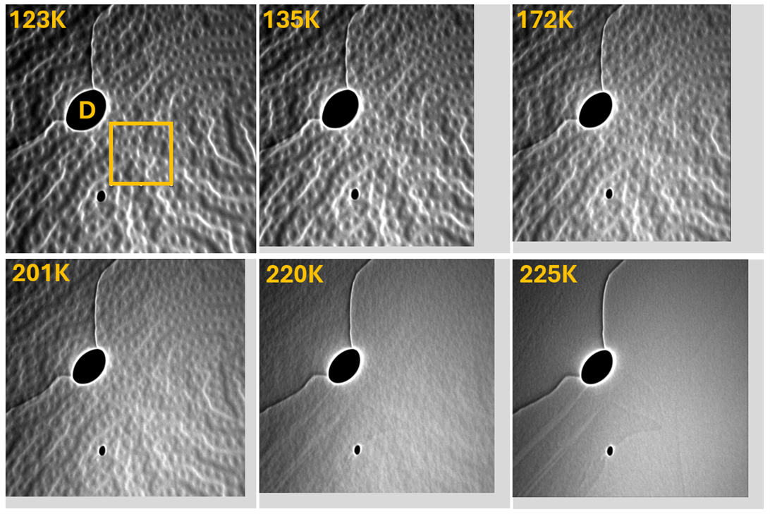 LEEM image montage showing magnetic domain evolution from 123 K to 225 K